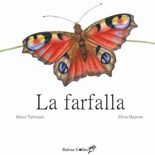La farfalla