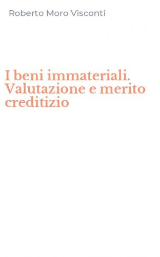 I beni immateriali. Valutazione e merito creditizio