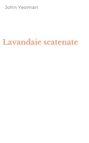 Lavandaie scatenate