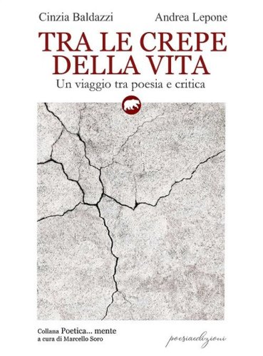 Tra le crepe della vita. Un viaggio tra poesia e critica