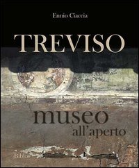 Treviso museo all'aperto