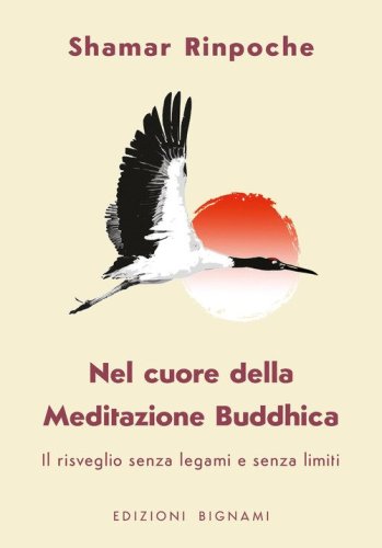 Nel cuore della meditazione buddhica. Il risveglio senza legami e senza limiti