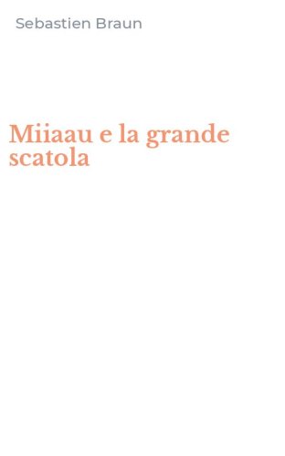 Miiaau e la grande scatola