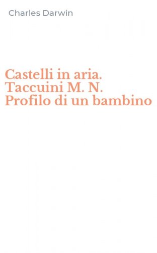 Castelli in aria. Taccuini M. N. Profilo di un bambino