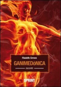 Ganimed&ograve;nica. Seguito a &laquo;I deceduti di Carrapipa&raquo;