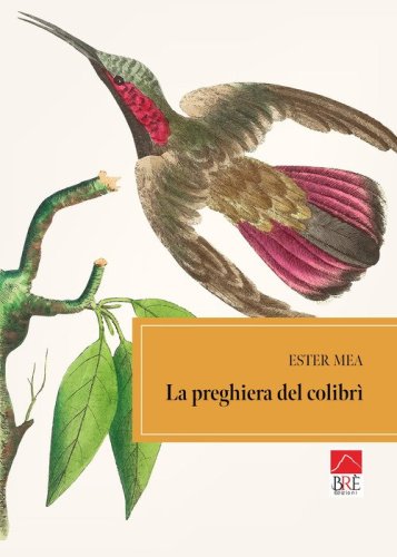 La preghiera del colibr&igrave;