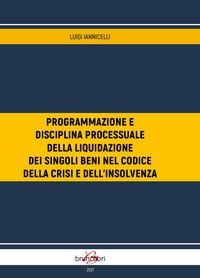 Programmazione e disciplina processuale della liquidazione dei singoli beni nel codice della crisi d'impresa e dell'insolvenza