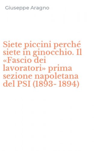 Siete piccini perch&eacute; siete in ginocchio. Il &laquo;Fascio dei lavoratori&raquo; prima sezione napoletana del PSI (1893-1894)