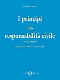 I principi della responsabilit&agrave; civile