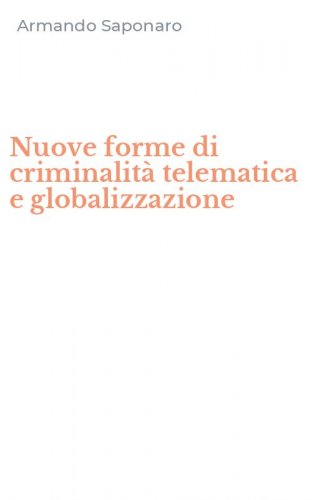 Nuove forme di criminalit&agrave; telematica e globalizzazione