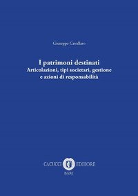 I patrimoni destinati. Articolazioni, tipi societari, gestione e azioni di responsabilit&agrave;
