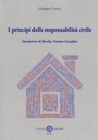I principi della responsabilit&agrave; civile