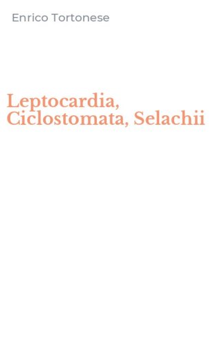 Leptocardia, Ciclostomata, Selachii
