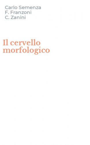 Il cervello morfologico
