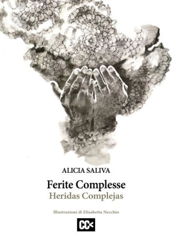 Ferite complesse