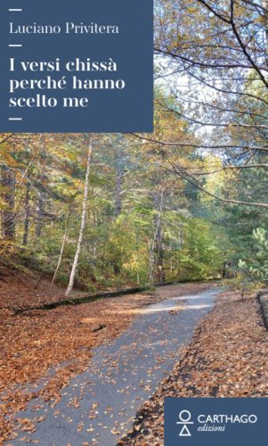 I versi chiss&agrave; perch&eacute; hanno scelto me