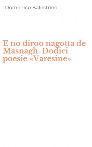E no diroo nagotta de Masnagh. Dodici poesie &laquo;Varesine&raquo;
