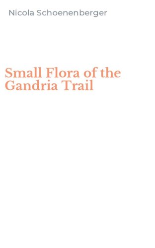 Small Flora of the Gandria Trail