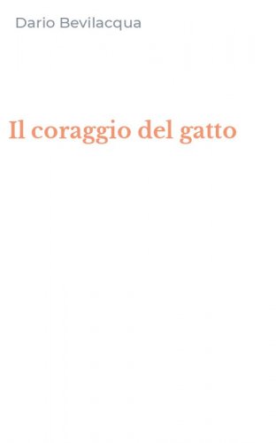 Il coraggio del gatto