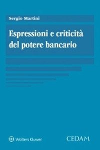 Espressioni e criticit&agrave; del potere bancario