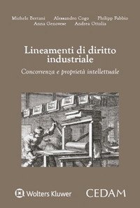 Lineamenti di diritto industriale. Concorrenza e propriet&agrave;&nbsp;intellettuale