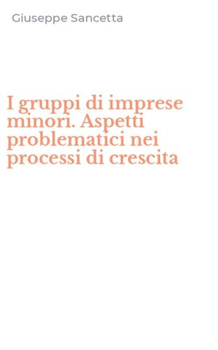 I gruppi di imprese minori. Aspetti problematici nei processi di crescita