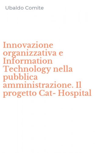 Innovazione organizzativa e Information Technology nella pubblica amministrazione. Il progetto Cat-Hospital