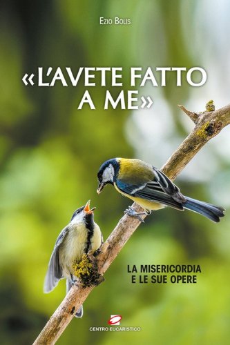 &laquo;L'avete fatto a me&raquo;. La misericordia e le sue opere