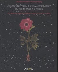 Incongruous beam of beauty over the Gaza strip-Un assurdo raggio di splendore sopra la striscia di Gaza (An)