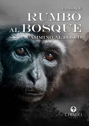 Rumbo al bosque. Cammino al bosco