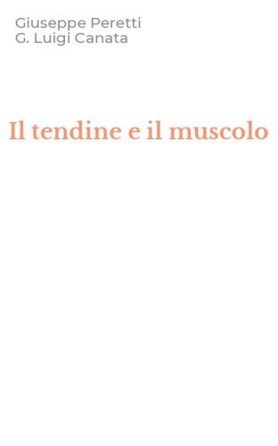 Il tendine e il muscolo