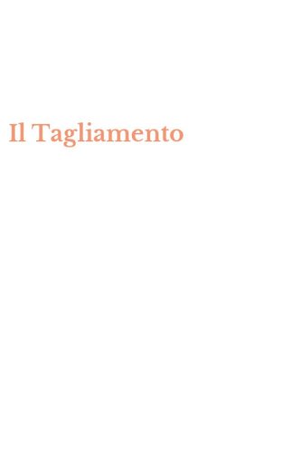 Il Tagliamento