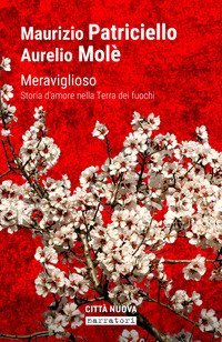 Meraviglioso. Storia d'amore nella &laquo;terra dei fuochi&raquo;