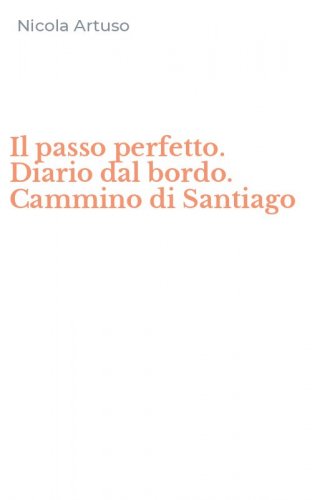 Il passo perfetto. Diario dal bordo. Cammino di Santiago