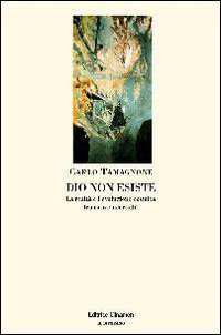 Dio non esiste. La realt&agrave; e l'evoluzione cosmica tra caso e necessit&agrave;
