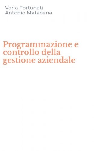 Programmazione e controllo della gestione aziendale