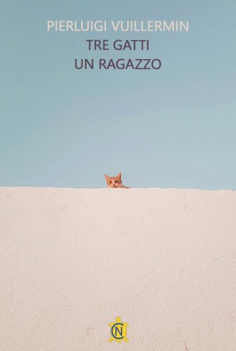 Tre gatti un ragazzo