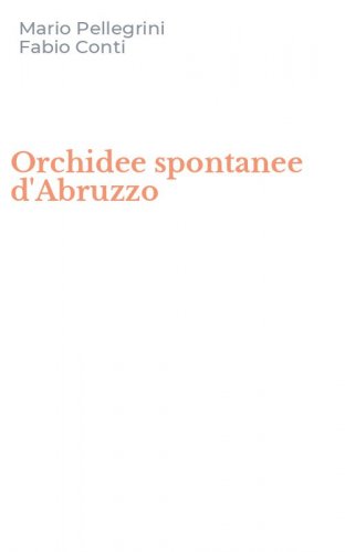 Orchidee spontanee d'Abruzzo