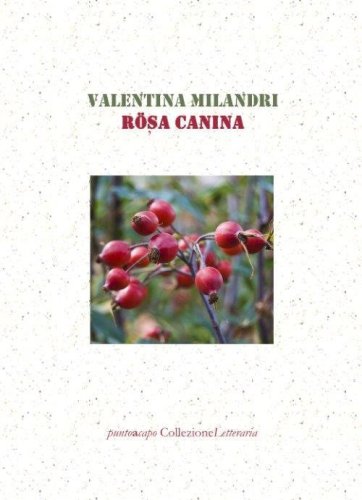 R&ouml;sa canina