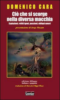 Ci&ograve; che si scorge nella diversa macchia. Espiazioni, relitti ignei, passioni, obliqui umori