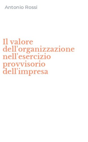Il valore dell'organizzazione nell'esercizio provvisorio dell'impresa