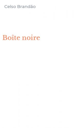 Bo&icirc;te noire