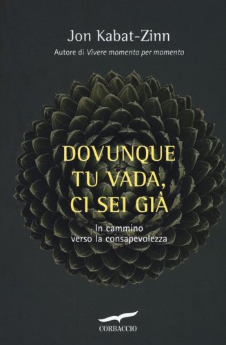 Dovunque tu vada ci sei gi&agrave;. Capire la ricchezza del nostro presente per iniziare il cammino verso la consapevolezza