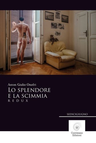 Lo splendore e la scimmia. Redux