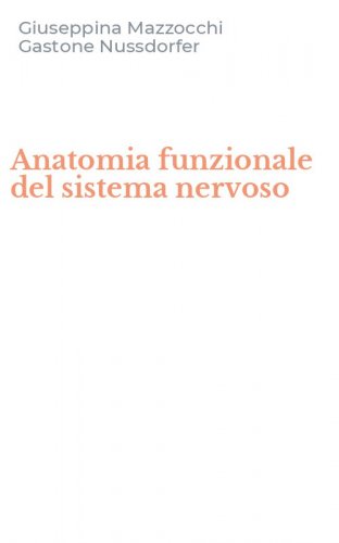 Anatomia funzionale del sistema nervoso