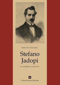 Stefano Jadopi. La propriet&agrave; illuminata