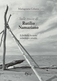 Sulle tracce di Rutilio Namaziano. Il &laquo;De Reditu&raquo; fra storia, archeologia e attualit&agrave;
