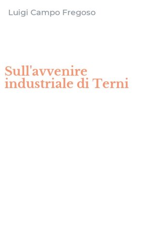 Sull'avvenire industriale di Terni