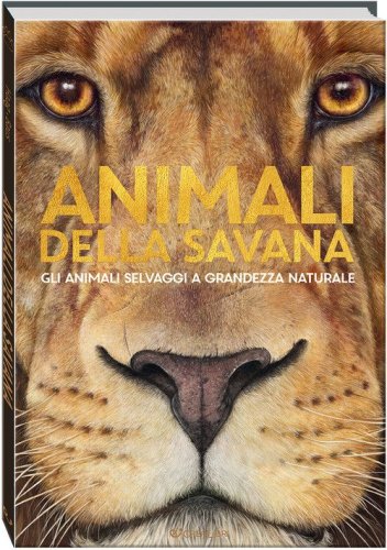 Animali della savana. Gli animali selvaggi a grandezza naturale