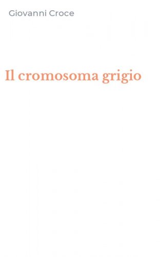 Il cromosoma grigio